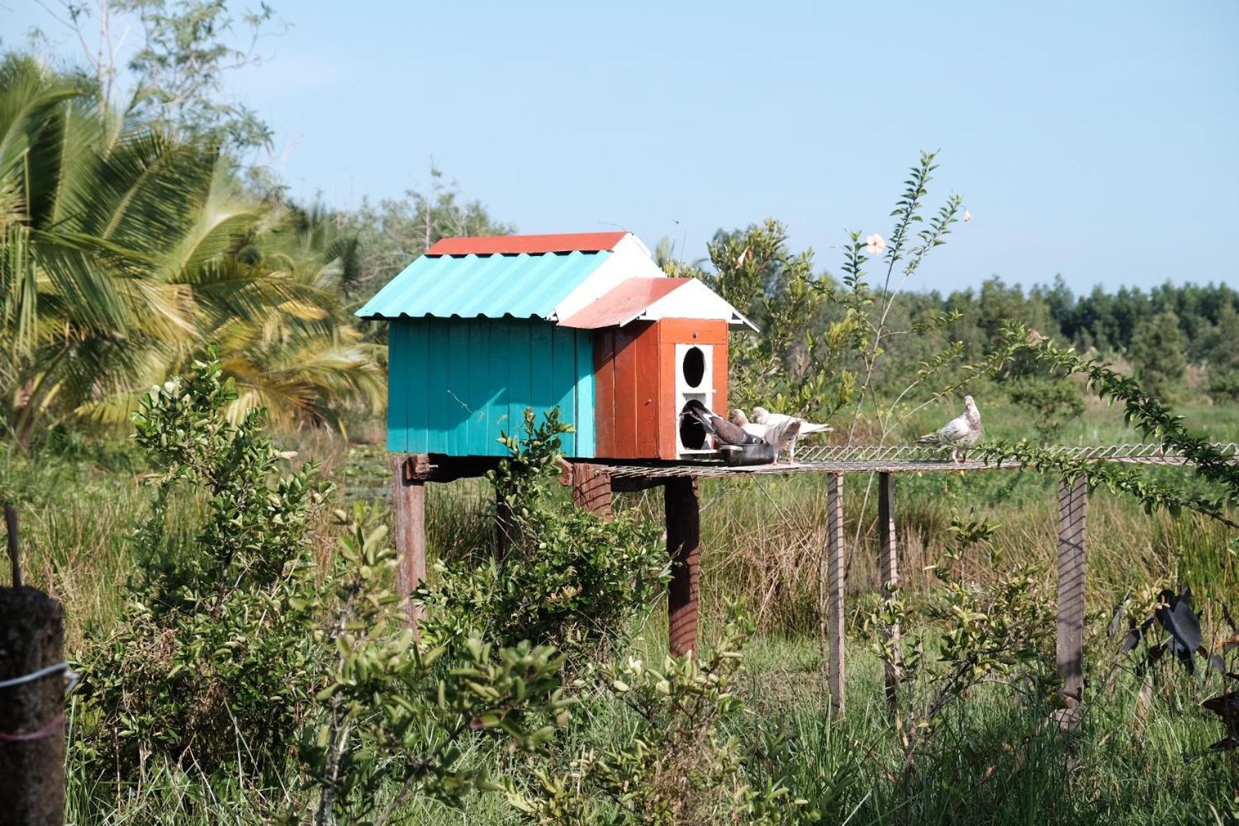 Bungalow - Farmstay Hoa Rung U Minh Ca Mau Exterior photo